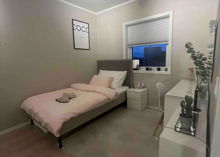 Welcome To A New At Tromoy!