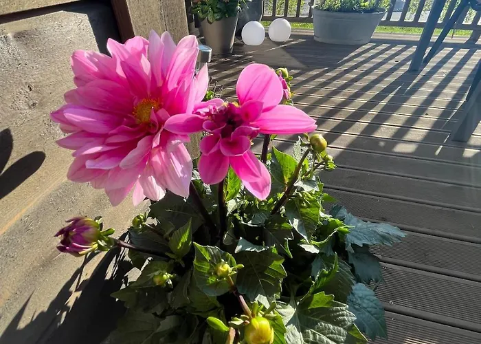 Apartment Welcome To A New At Tromoy!