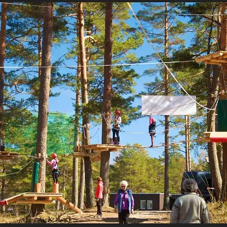 Welcome To A New At Tromoy!