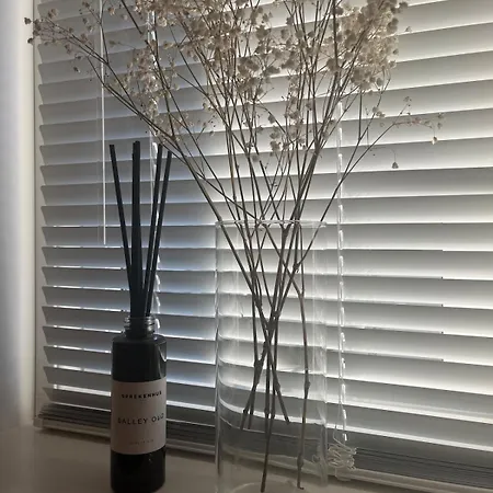 Welcome To A New At Tromoy! 阿伦达尔