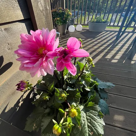 公寓 Welcome To A New At Tromoy!